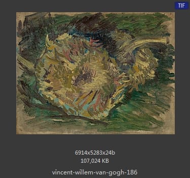 Vincent van Gogh