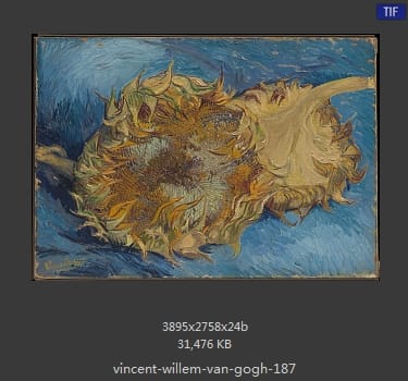 Vincent van Gogh