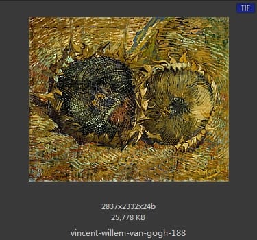 Vincent van Gogh