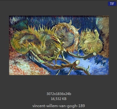 Vincent van Gogh