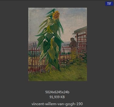 Vincent van Gogh