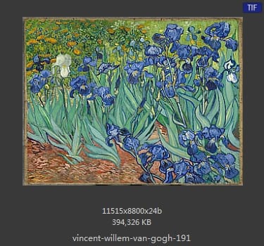 Vincent van Gogh