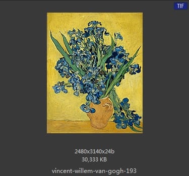 Vincent van Gogh