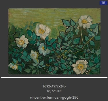 Vincent van Gogh
