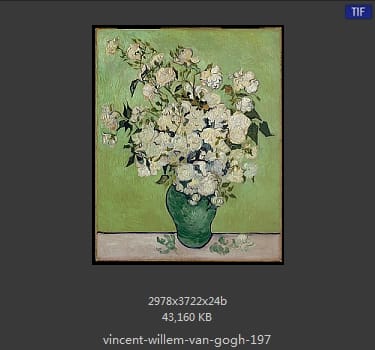 Vincent van Gogh