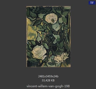 Vincent van Gogh