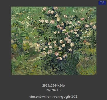 Vincent van Gogh