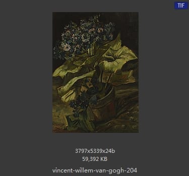 Vincent van Gogh