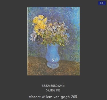 Vincent van Gogh