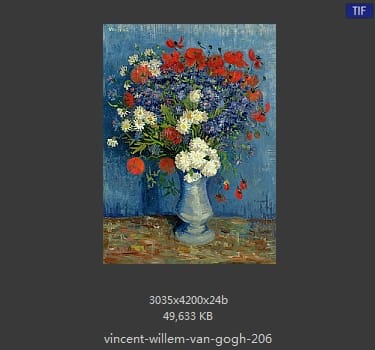 Vincent van Gogh