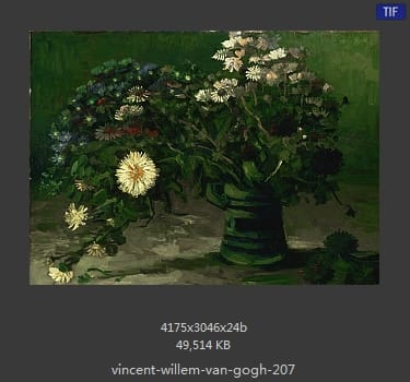 Vincent van Gogh