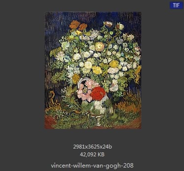 Vincent van Gogh