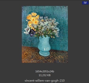 Vincent van Gogh