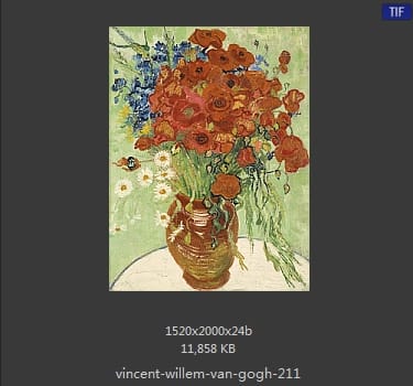 Vincent van Gogh