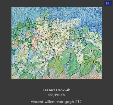 Vincent van Gogh
