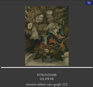 Vincent van Gogh
