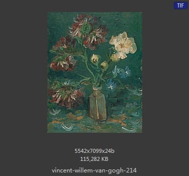 Vincent van Gogh