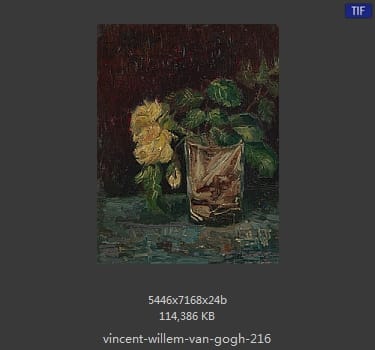 Vincent van Gogh