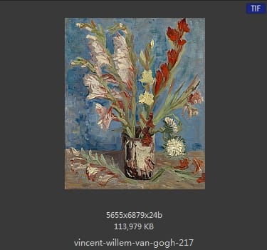 Vincent van Gogh