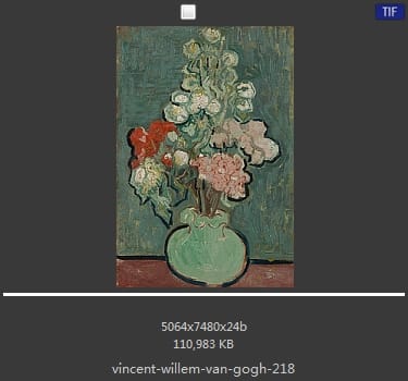 Vincent van Gogh