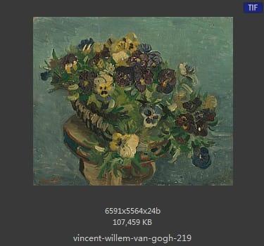 Vincent van Gogh