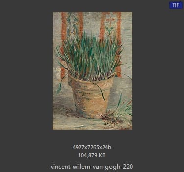 Vincent van Gogh