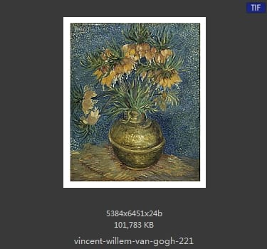 Vincent van Gogh