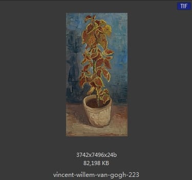 Vincent van Gogh