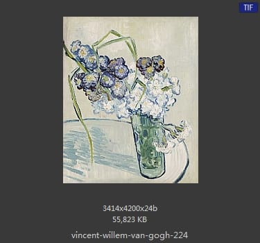 Vincent van Gogh