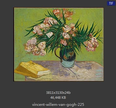 Vincent van Gogh