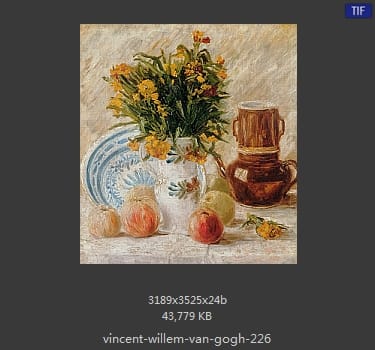 Vincent van Gogh