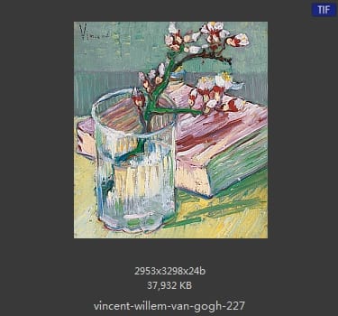 Vincent van Gogh