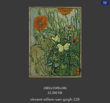 Vincent van Gogh