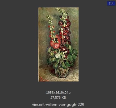 Vincent van Gogh