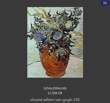 Vincent van Gogh