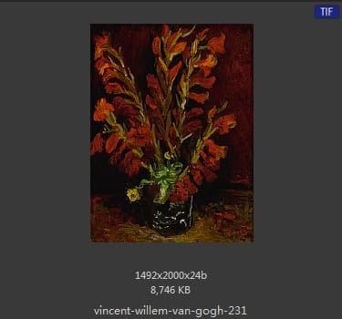 Vincent van Gogh