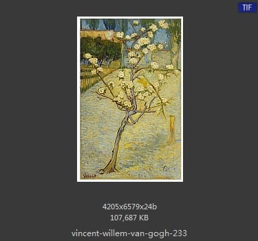 Vincent van Gogh
