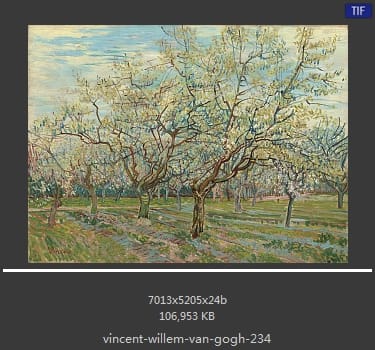 Vincent van Gogh