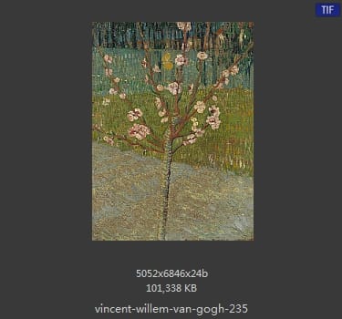 Vincent van Gogh