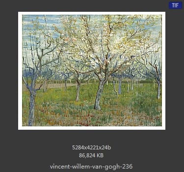 Vincent van Gogh