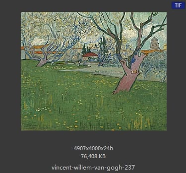 Vincent van Gogh