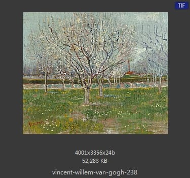 Vincent van Gogh