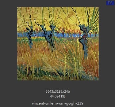 Vincent van Gogh