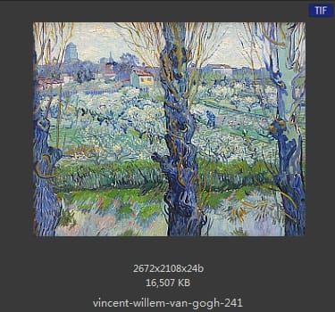Vincent van Gogh