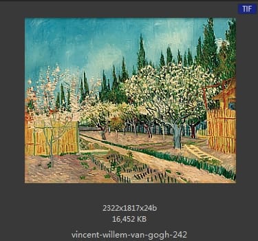 Vincent van Gogh