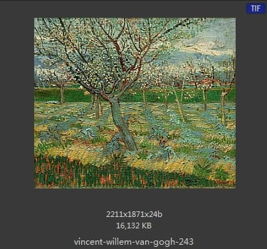 Vincent van Gogh