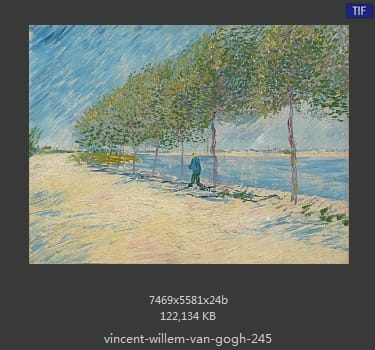Vincent van Gogh