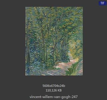 Vincent van Gogh