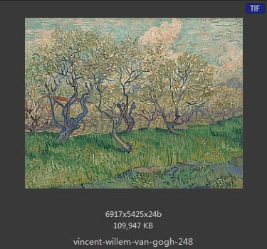 Vincent van Gogh