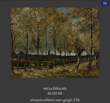 Vincent van Gogh